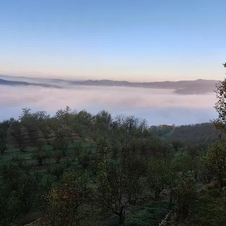 La Cuccia Del Sole Exclusively For Your Group