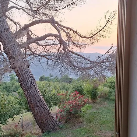 Casa vacanze La Cuccia Del Sole Exclusively For Your Group