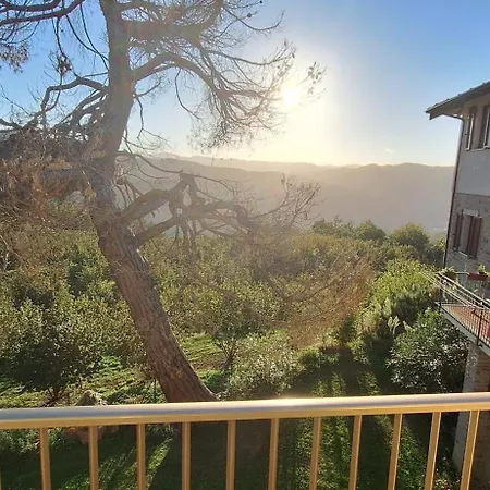 La Cuccia Del Sole Exclusively For Your Group *